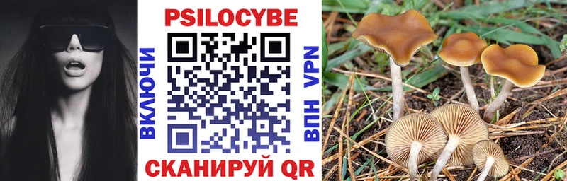 Псилоцибиновые грибы Psilocybe  Яровое 